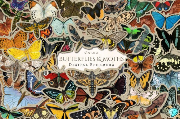 Download Vintage Butterflies and Moths Ephemera - Butterflie Collection
