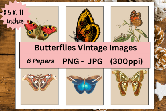 Download Butterflies Vintage Digital Images - Butterflie Collection